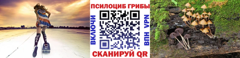 Галлюциногенные грибы Magic Shrooms  купить наркотики цена  гидра   Арск 